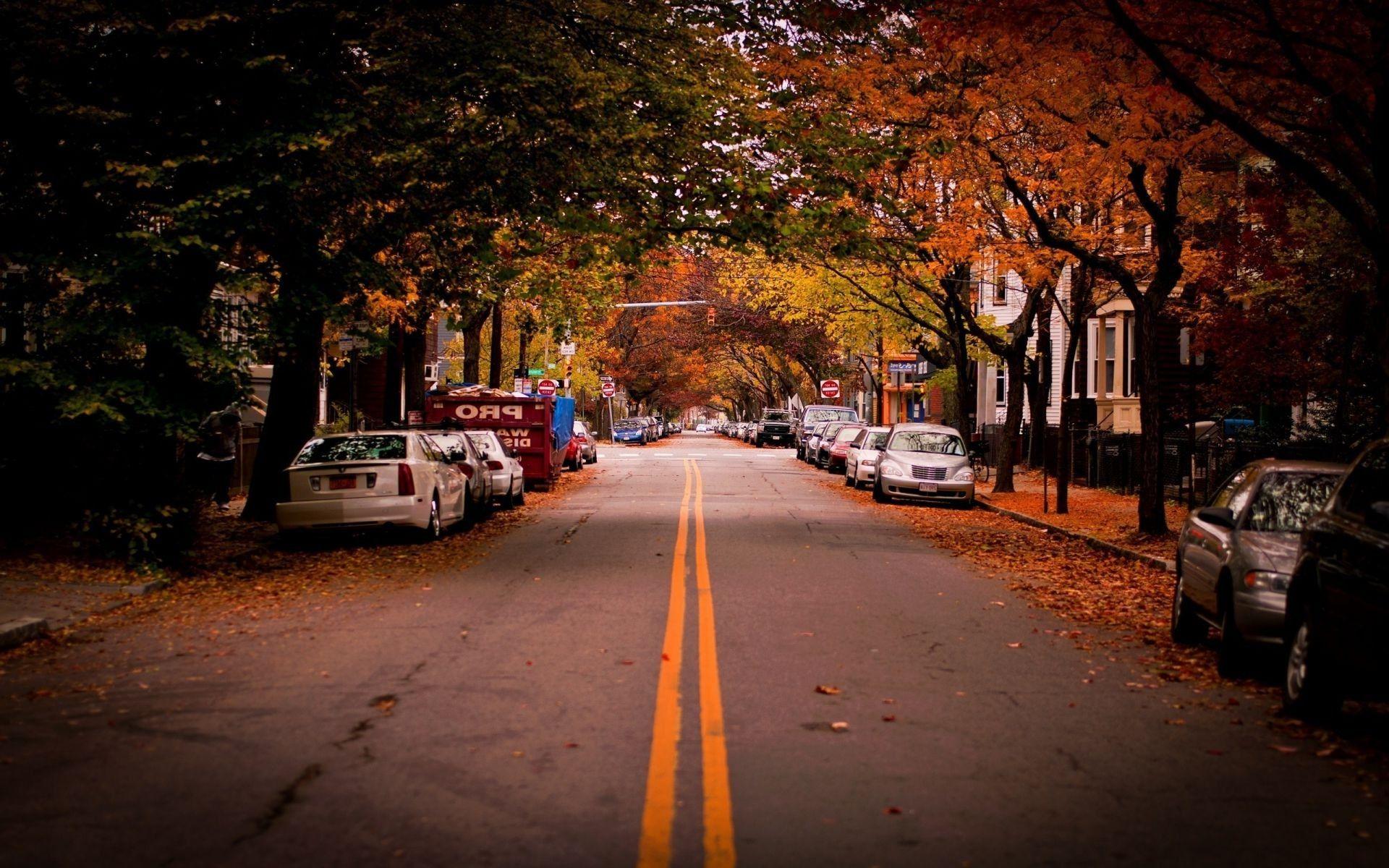 1920x1200 Cambridge road trees usa cars Cambridge