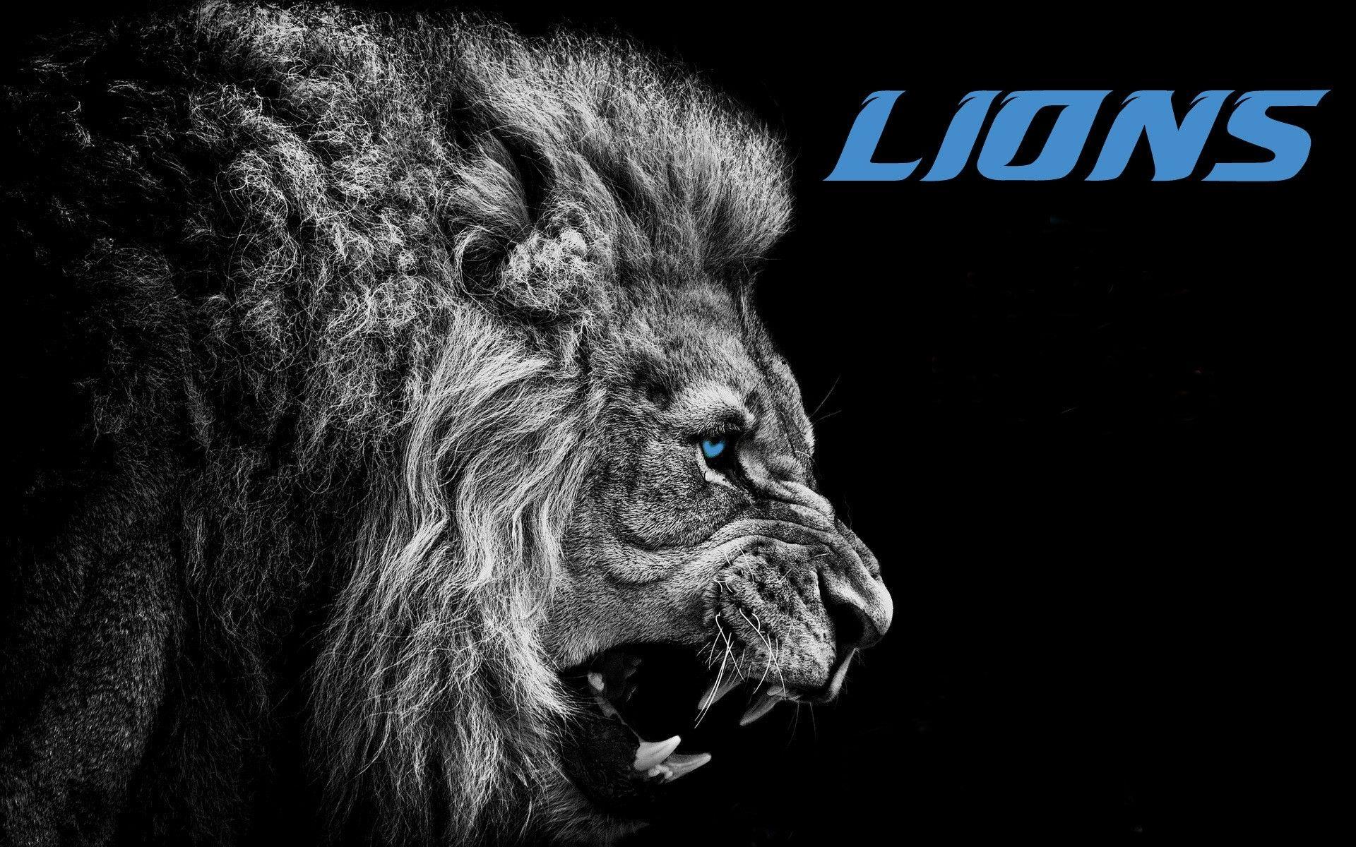 Detroit Lions Wallpapers - Top 25 Best Detroit Lions Backgrounds Download