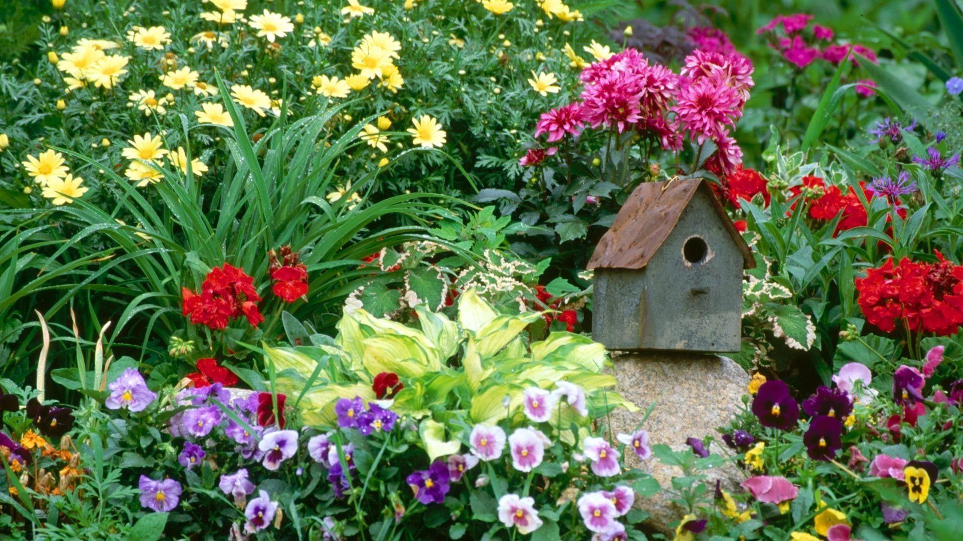 1920x1080 Unbelievable Garden Massachusetts Wallpaper Allwallpaperin Pic