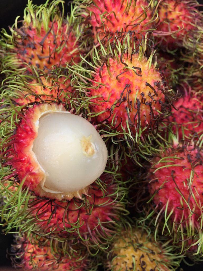 768x1024 Tropical Fruits of Indonesia journey bespoke