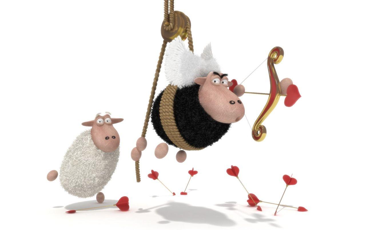 1280x804 Sheep cupid wallpaper. Sheep cupid