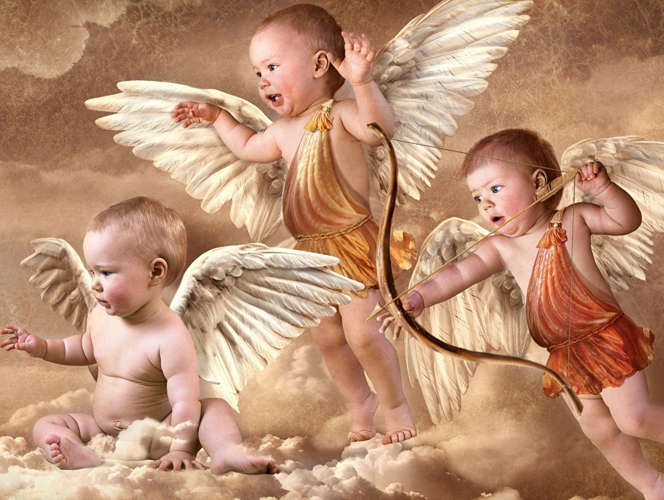 1361x1024 Photos Baby Archers Cupid Wings child