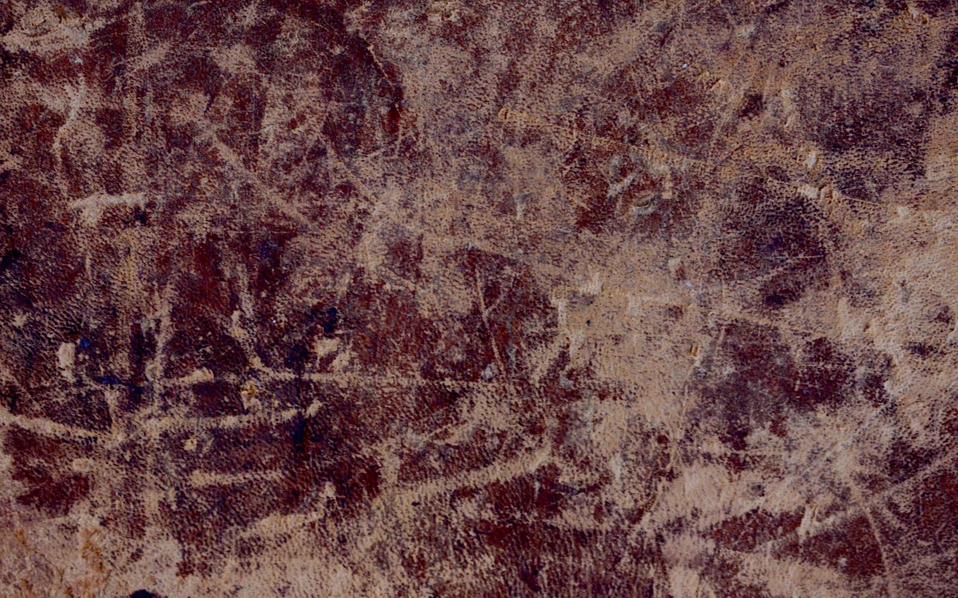1920x1200 vintage antique leather book cover texture 1920x1200 Wallpaper