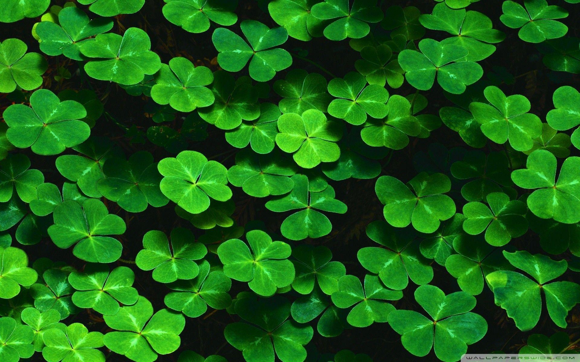 1920x1200 St Patricks Wallpaper