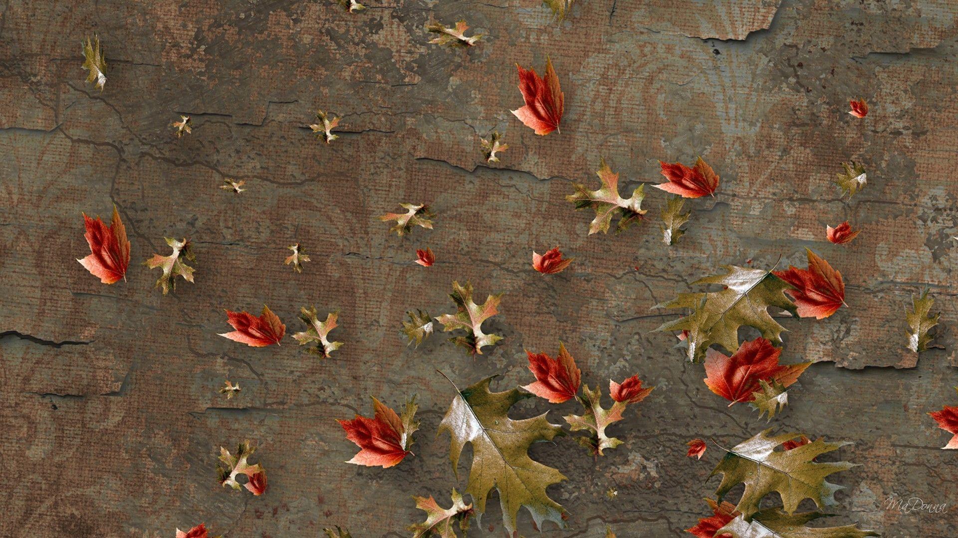 1920x1080 Forces of Nature: Leaves Fallen Cracked Autumn Fall Grunge Antique
