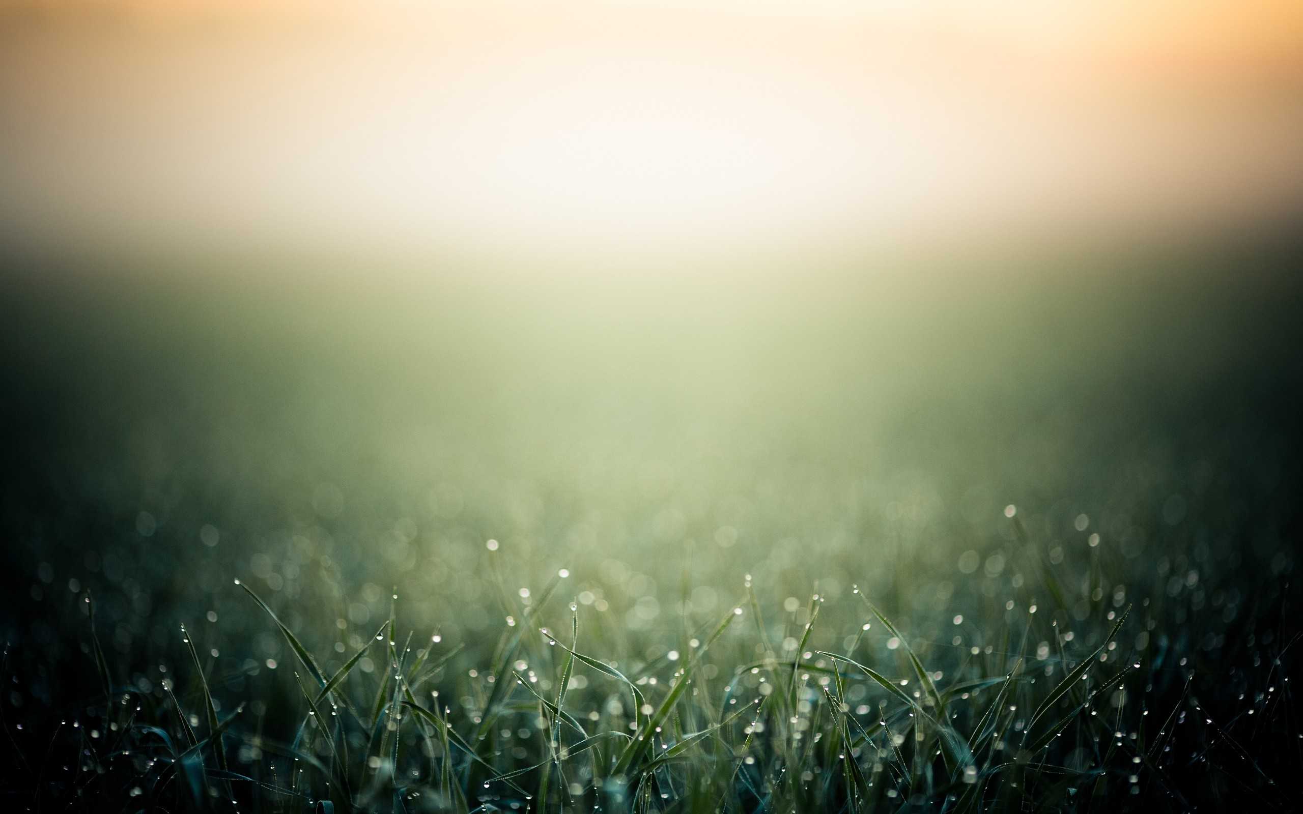 2560x1600 Blurred wallpaperx1600