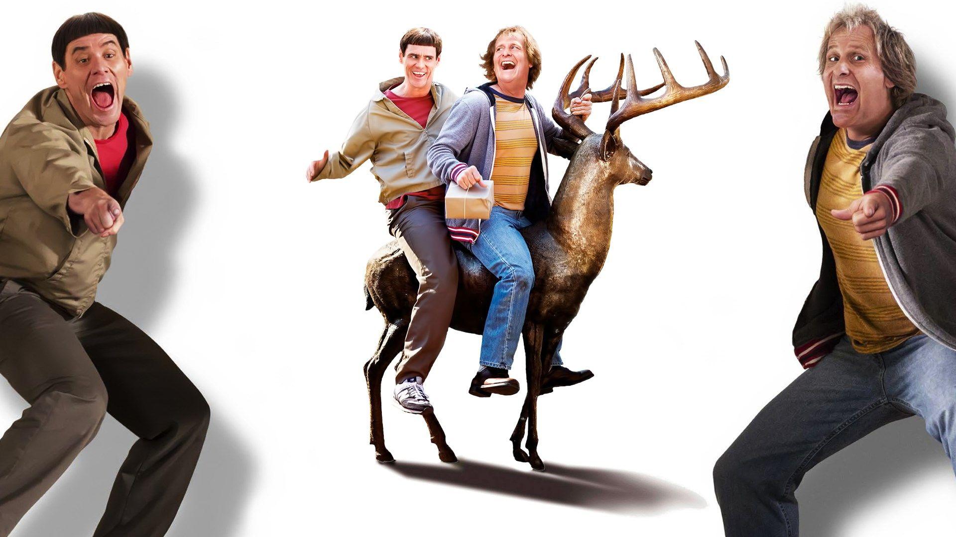 1920x1080 free computer wallpaper for dumb and dumber to