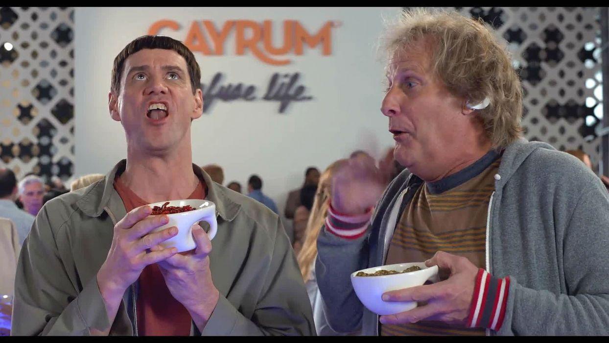 1244x700 DUMB AND DUMBER comedy family humor funny (61) wallpaper