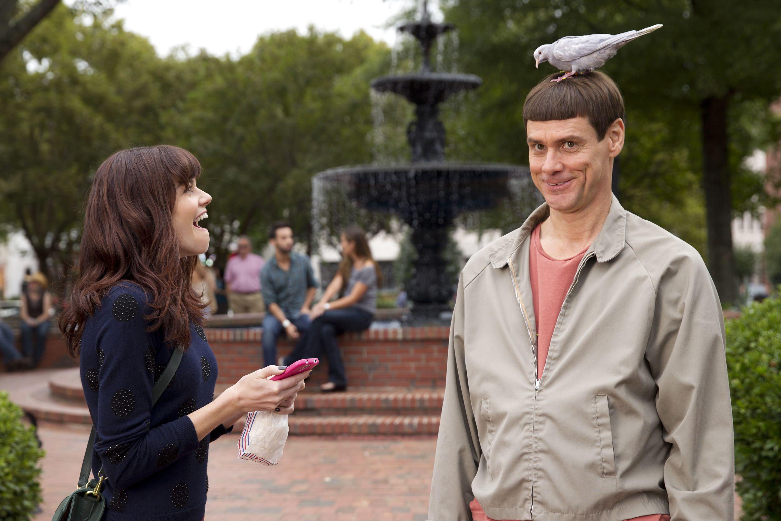 2500x1667 Download Free Modern Dumb And Dumber To The Wallpaper