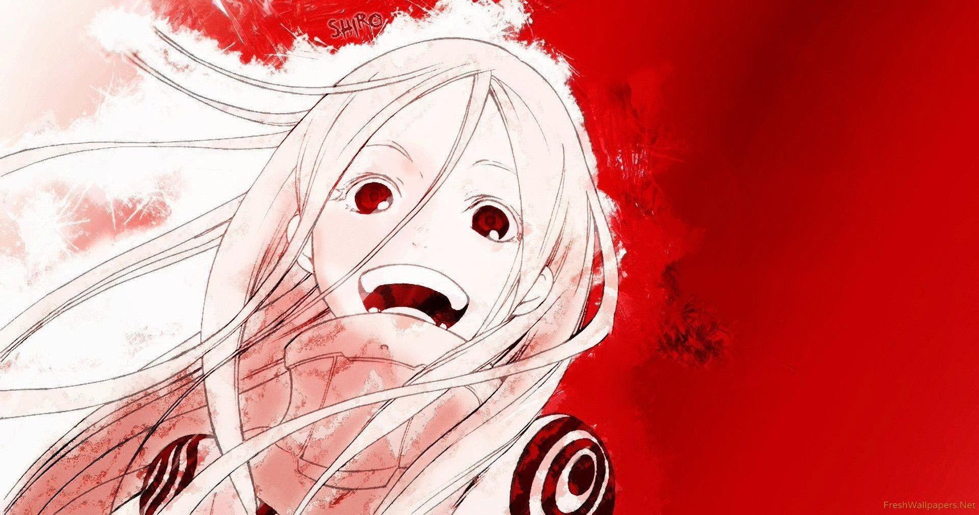 1920x1010 Shiro Wonderland wallpaper