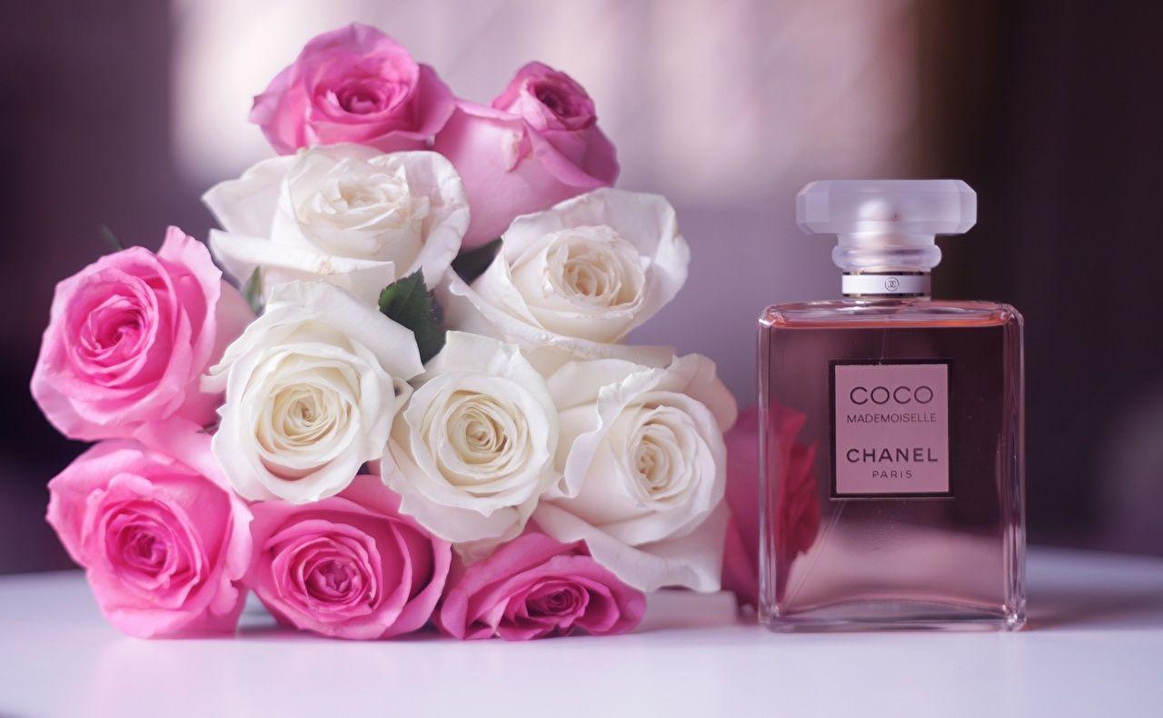 Perfume Wallpapers Top Free Perfume Backgrounds Wallpaperaccess
