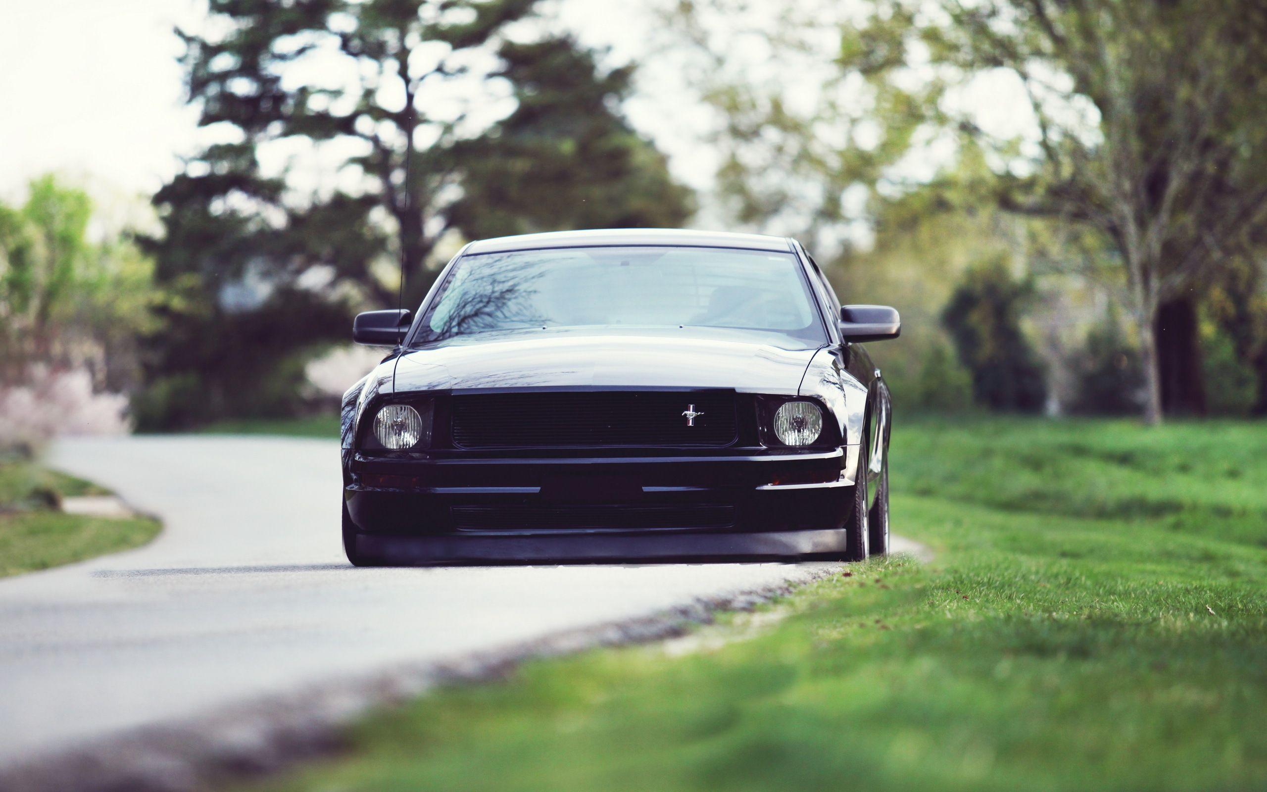2560x1600 Ford Mustand Low Rider, HD Cars, 4k Wallpaper, Image