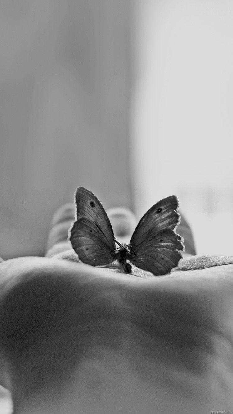 750x1334 Hình nền iPhone 6 - bướm yêu trong tay động vật bw