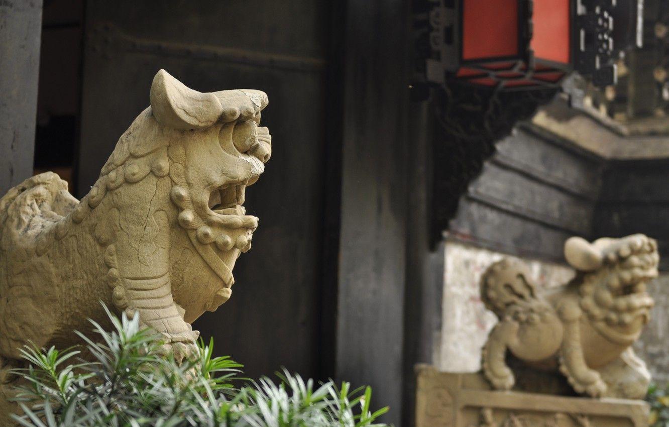1332x850 Wallpaper China, life, Chengdu image for desktop, section