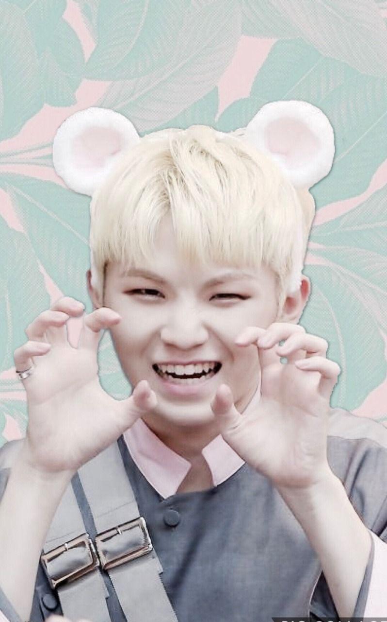 Woozi Wallpapers Top Free Woozi Backgrounds Wallpaperaccess