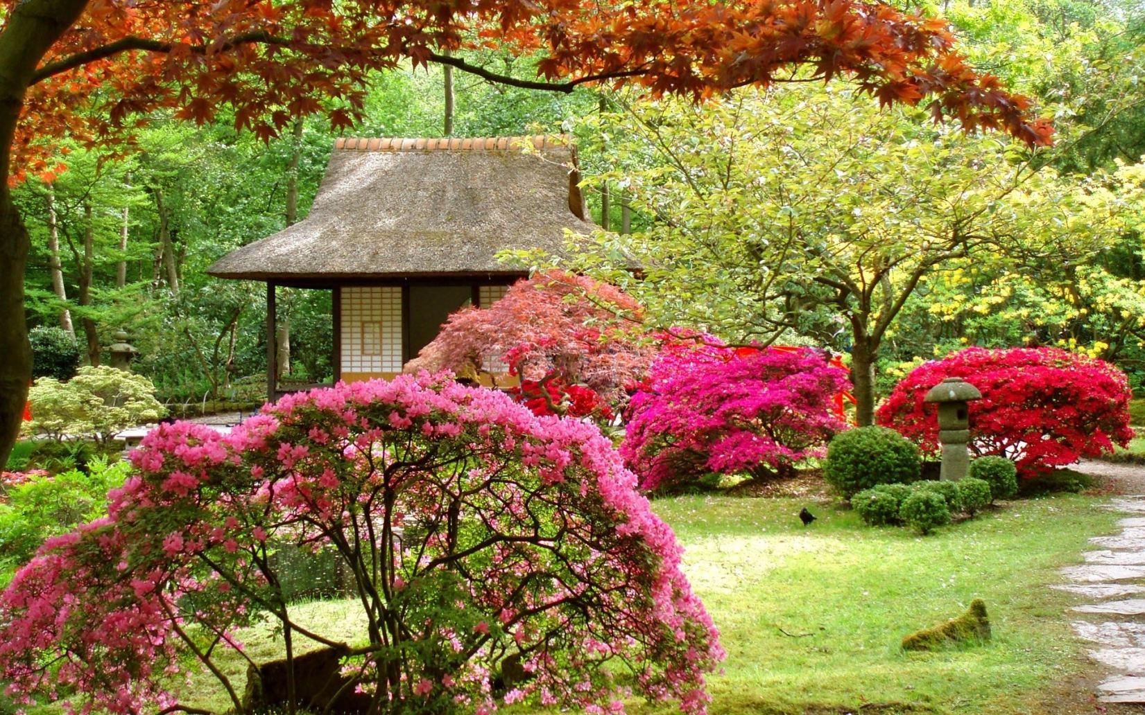 japanese flower garden wallpapers - top free japanese flower garden