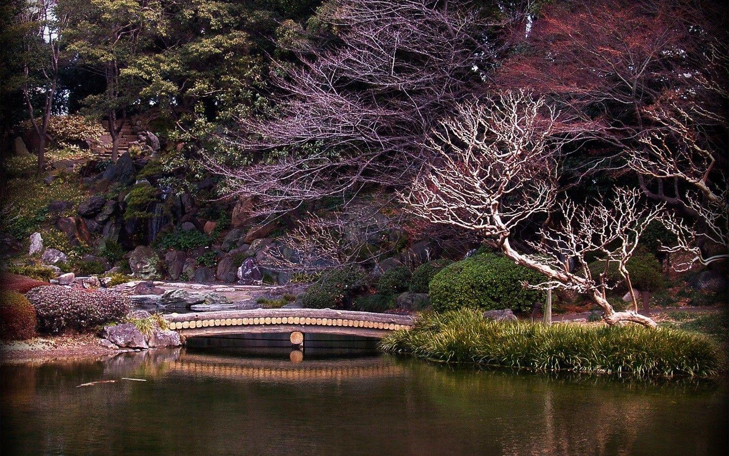 1440x900 Flowers: Japanese Garden Japan Flower Wallpaper iPhone 4 for HD 16:9