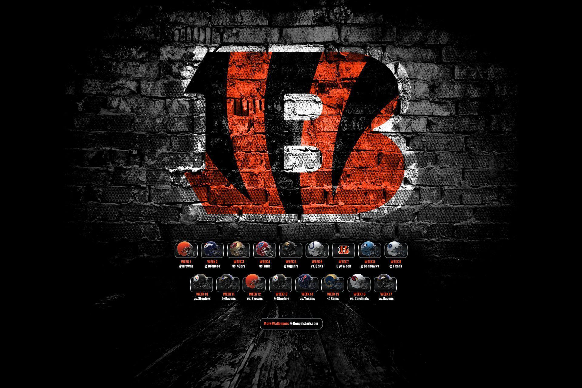 1920x1280 Cincinnati Bengals Wallpaper