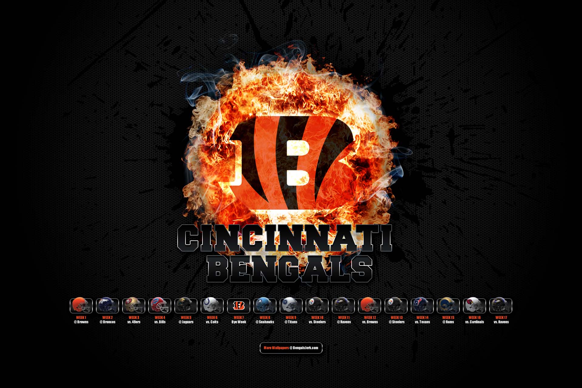 1920x1280 cincinnati bengals wallpaper HD