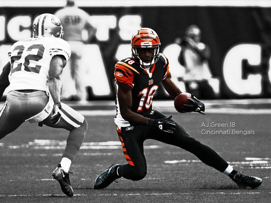 1024x768 Cincinnati Bengals Wallpaper