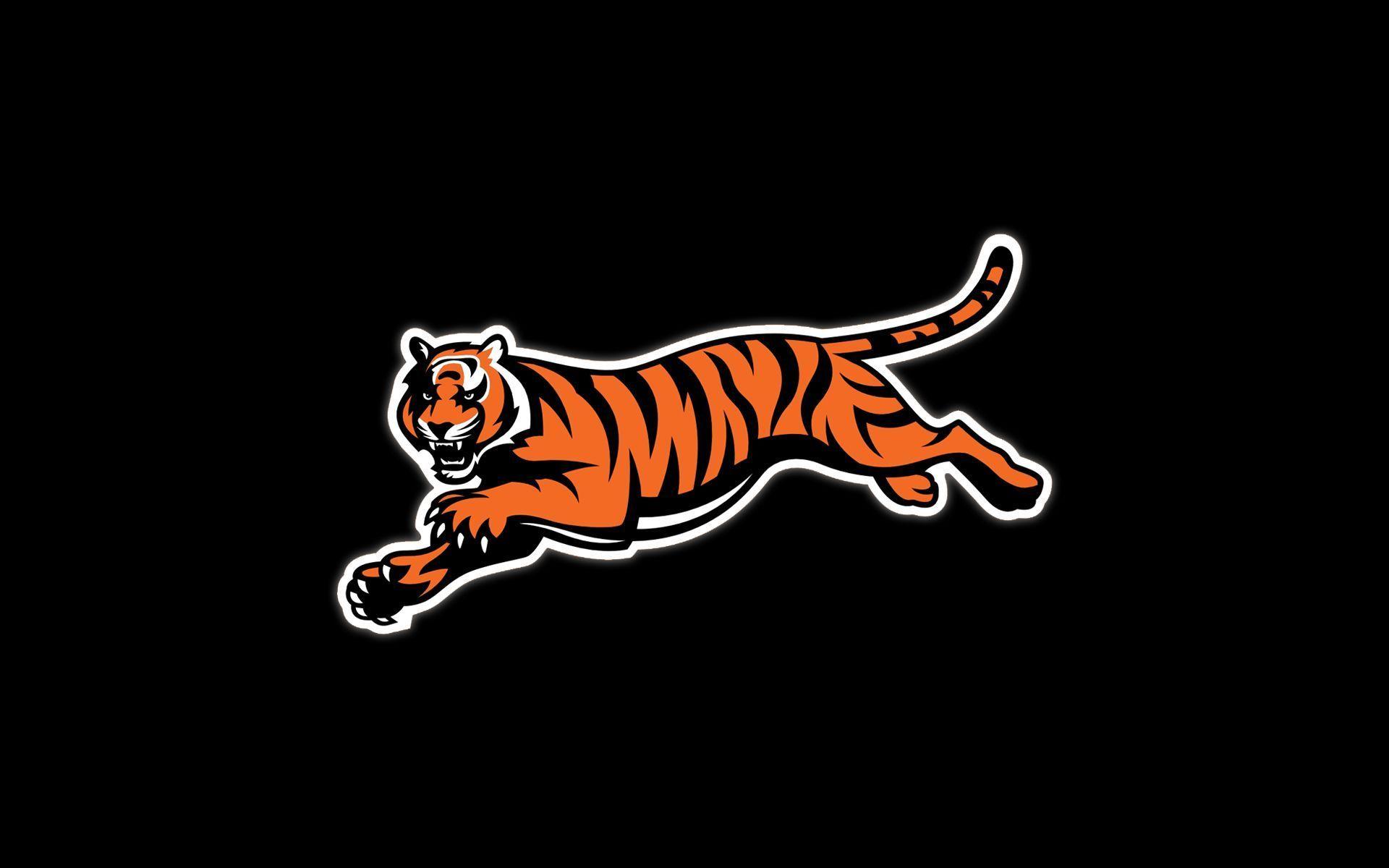 1920x1200 Desktop Wallpaper Cincinnati Bengals 1024×819 Bengals Desktop