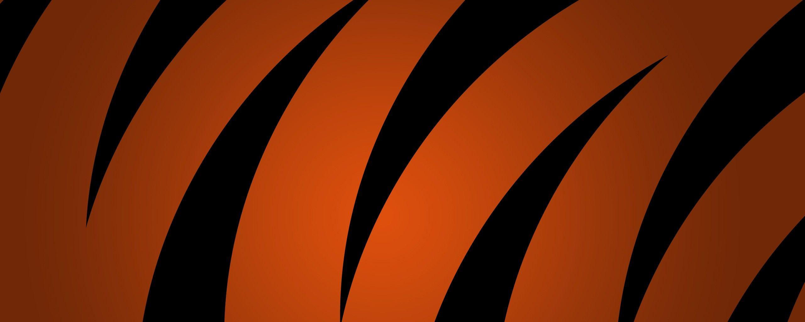 2560x1024 Download Cincinnati Bengals HD Wallpaper Full HD Picture