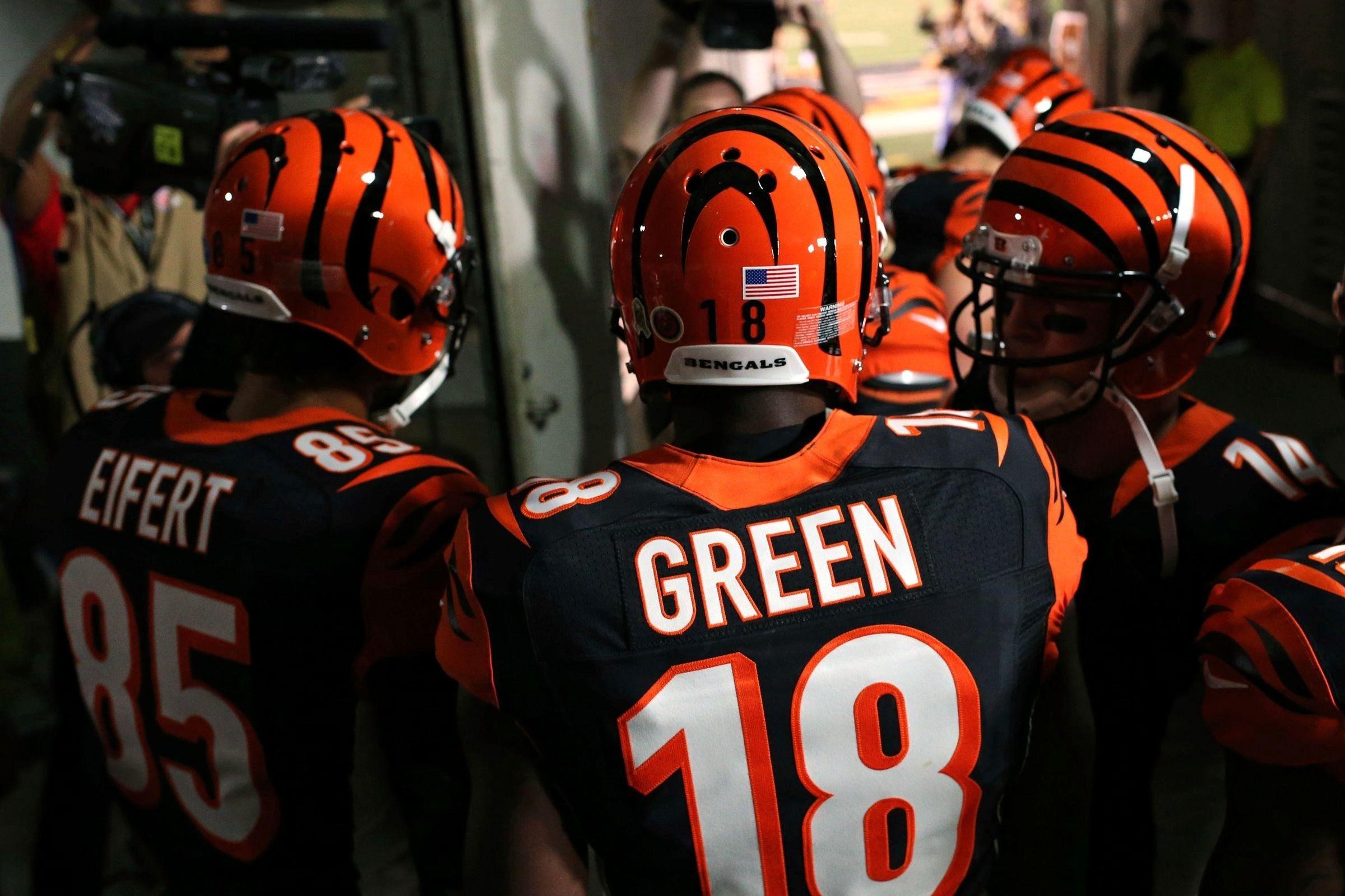 2400x1600 Bengals Wallpaper