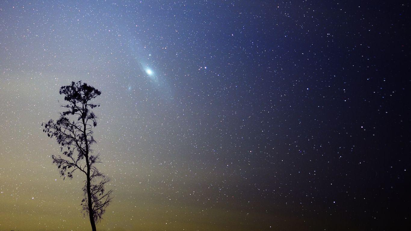1366x768 Andromeda, Galaxy, Stars, M Tree Wallpaper and Picture