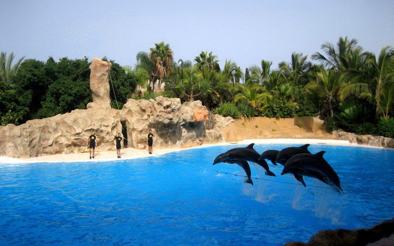 1280x800 Tenerife Wallpaper