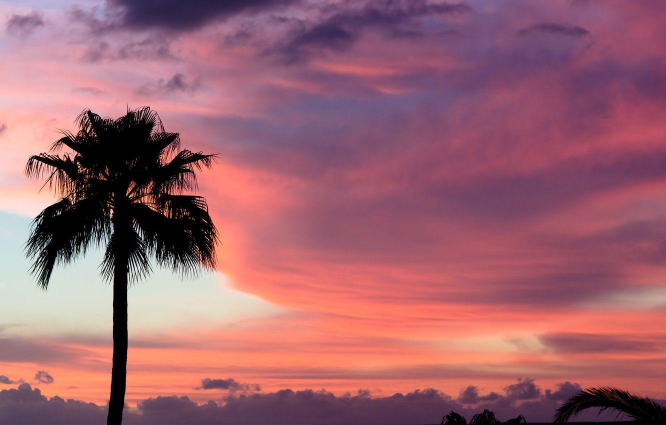 1332x850 Wallpaper the sky, clouds, sunset, Palma, pink, paint