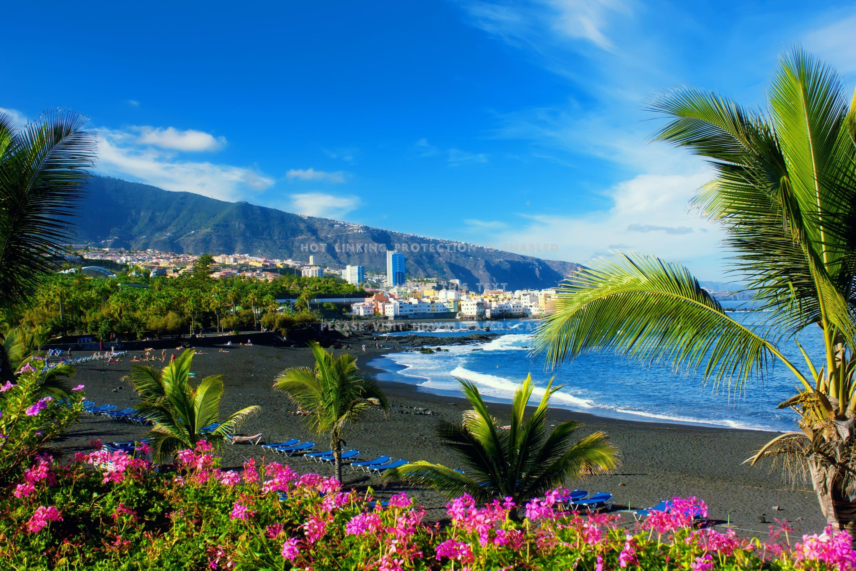 Tenerife Wallpapers - Top Free Tenerife Backgrounds - WallpaperAccess