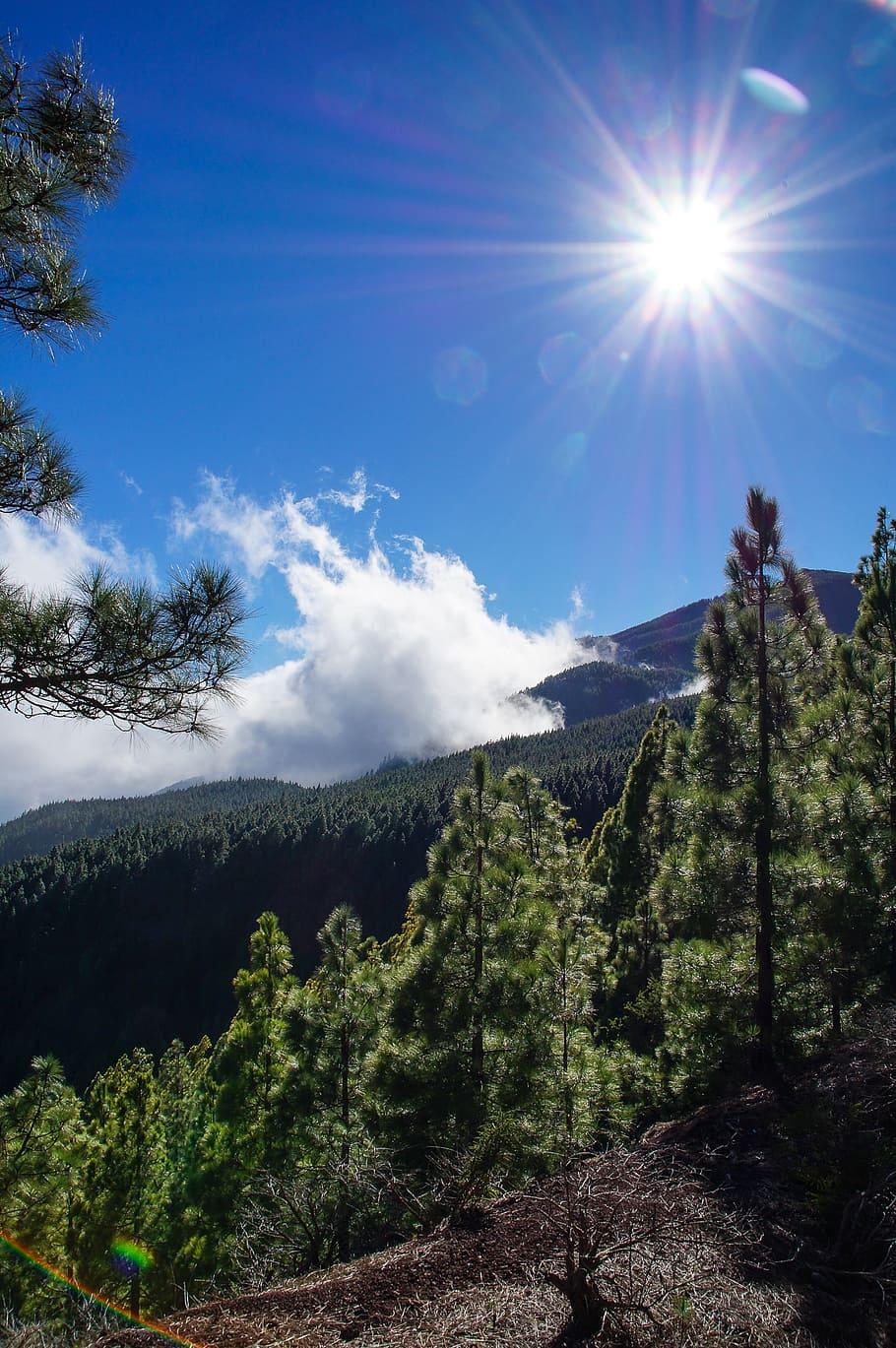910x1369 HD wallpaper: spain, canary islands, tenerife, teide
