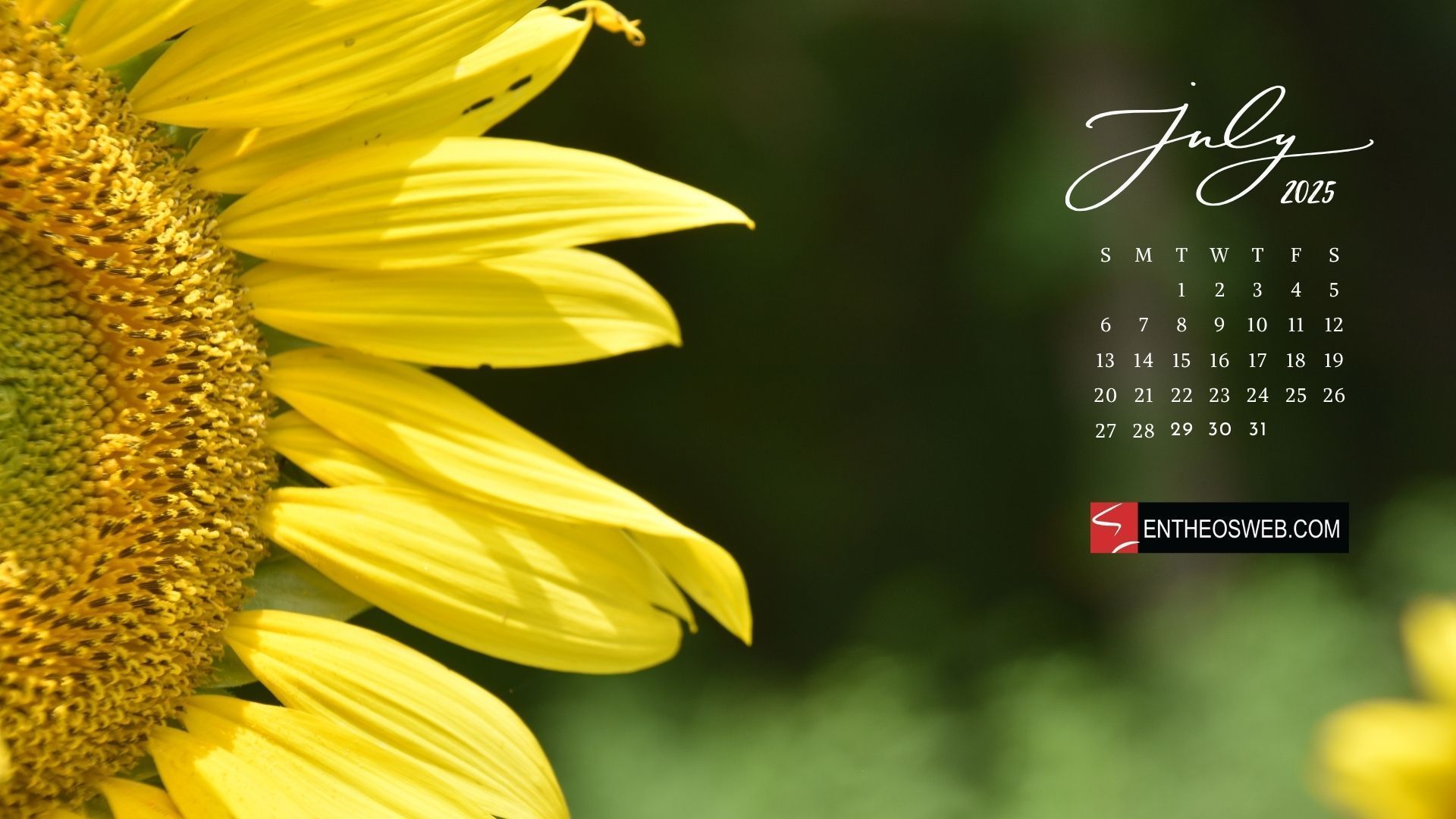 1920x1080 July 2025 Desktop Wallpaper