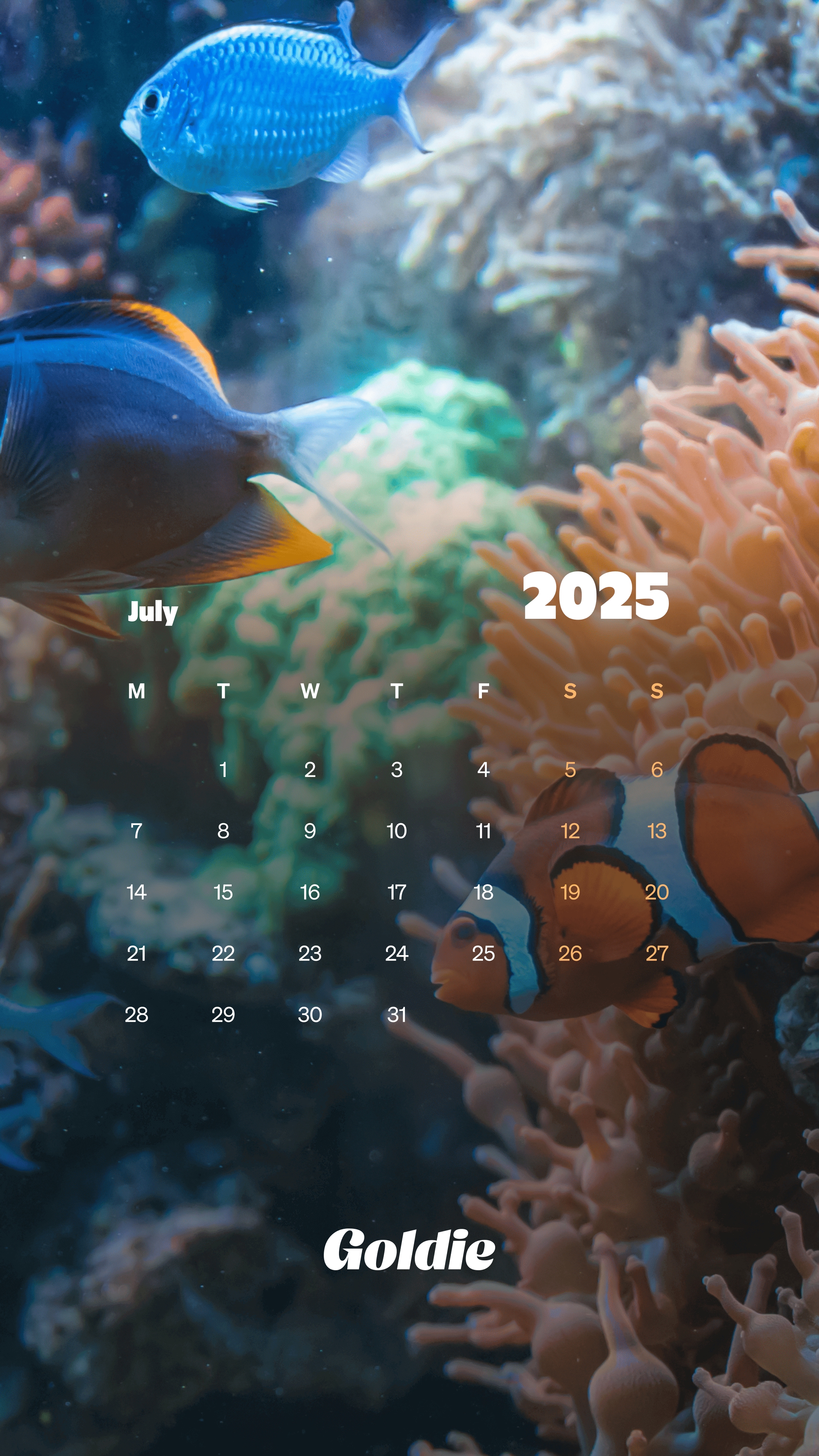 2160x3840 Free July 2025 Calendar Wallpaper
