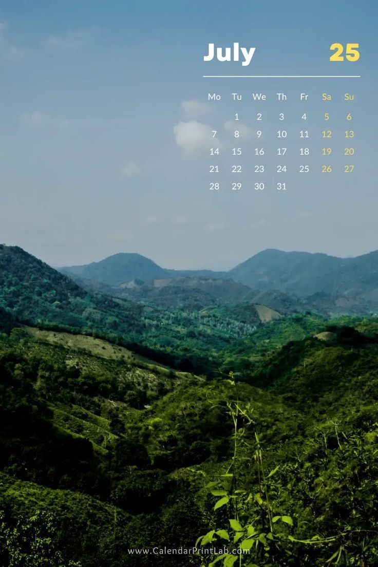 736x1104 iPhone 2025 Calendar Wallpaper in HD Download