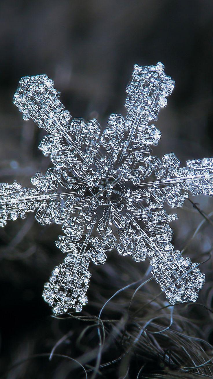 736x1308 best LET IT SNOW image. Funny pics, Snowmen