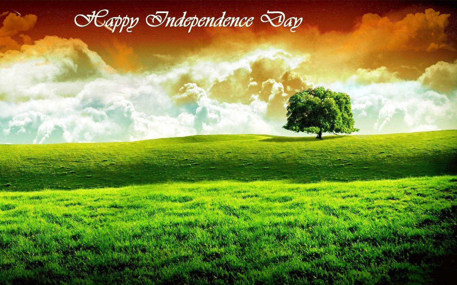 1600x1000 India Independence Day HD Image, Wallpaper