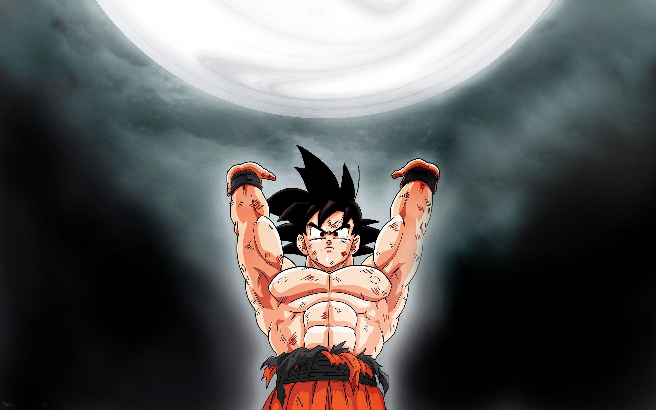 2560x1600 Dragon ball z iphone wallpaper