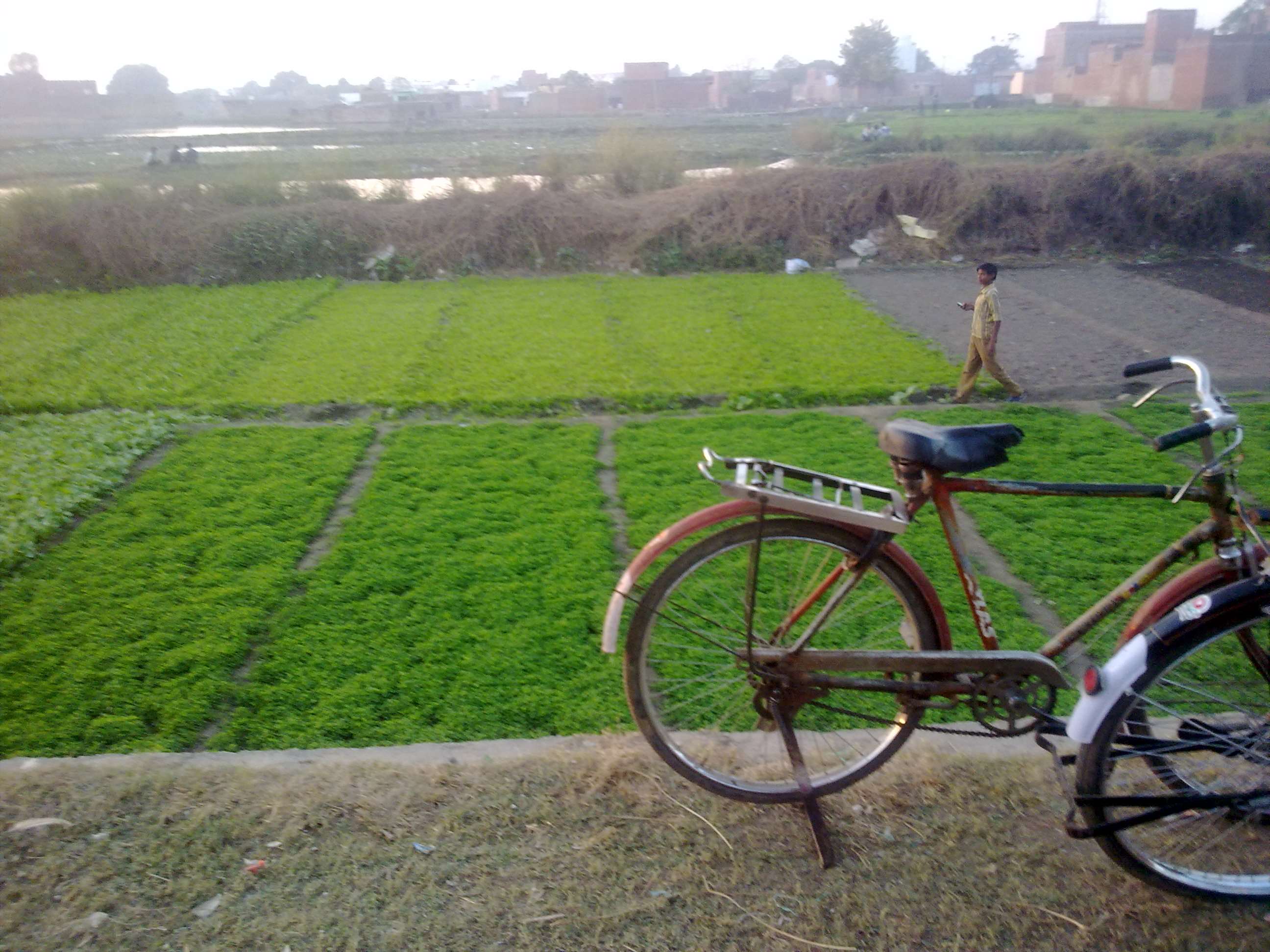 2592x1944 bicycle, bicycles, city challenge, field, grass, grassland