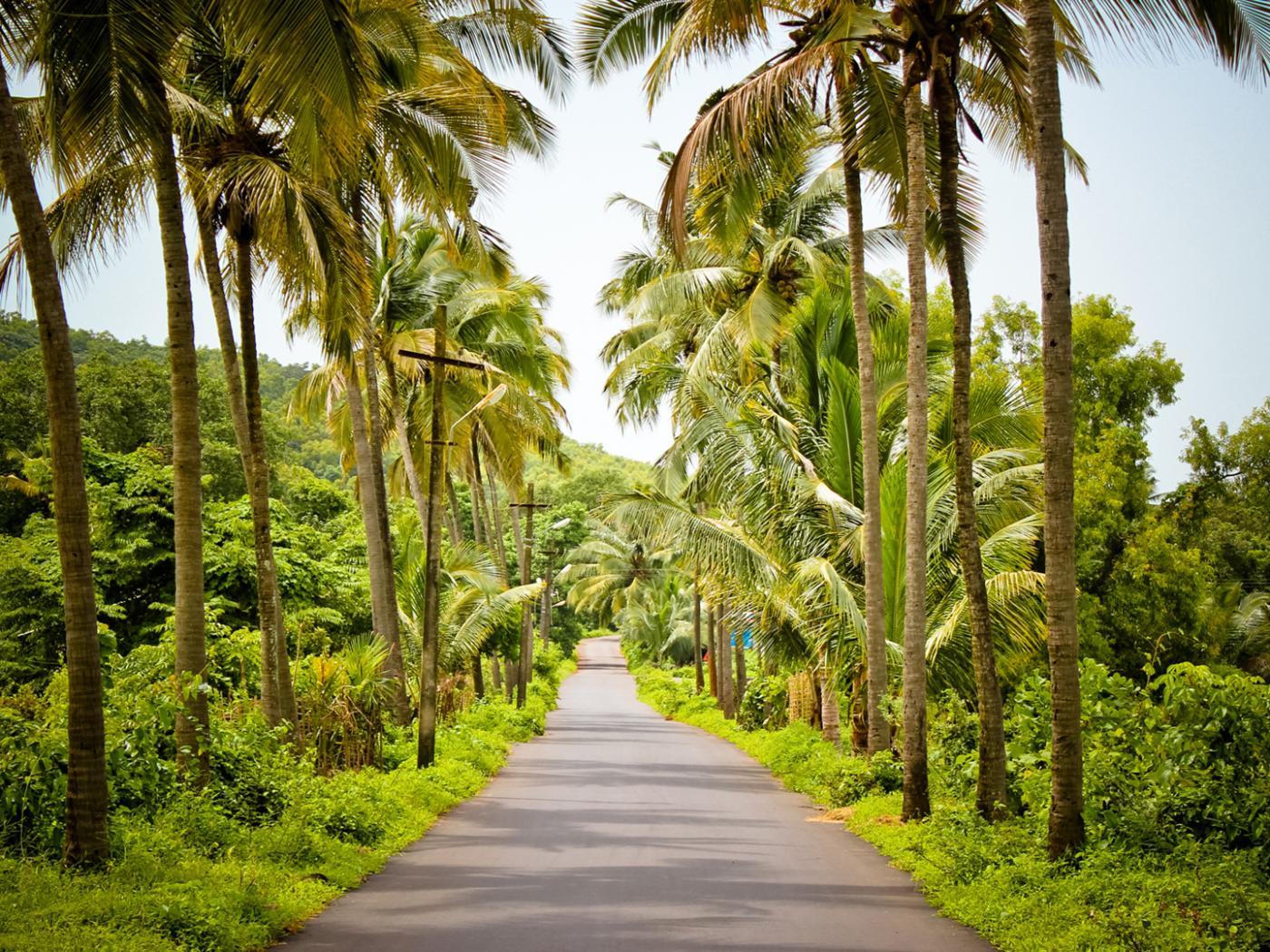 1400x1050 High Resolution HD Nature Image of India Beautiful Street