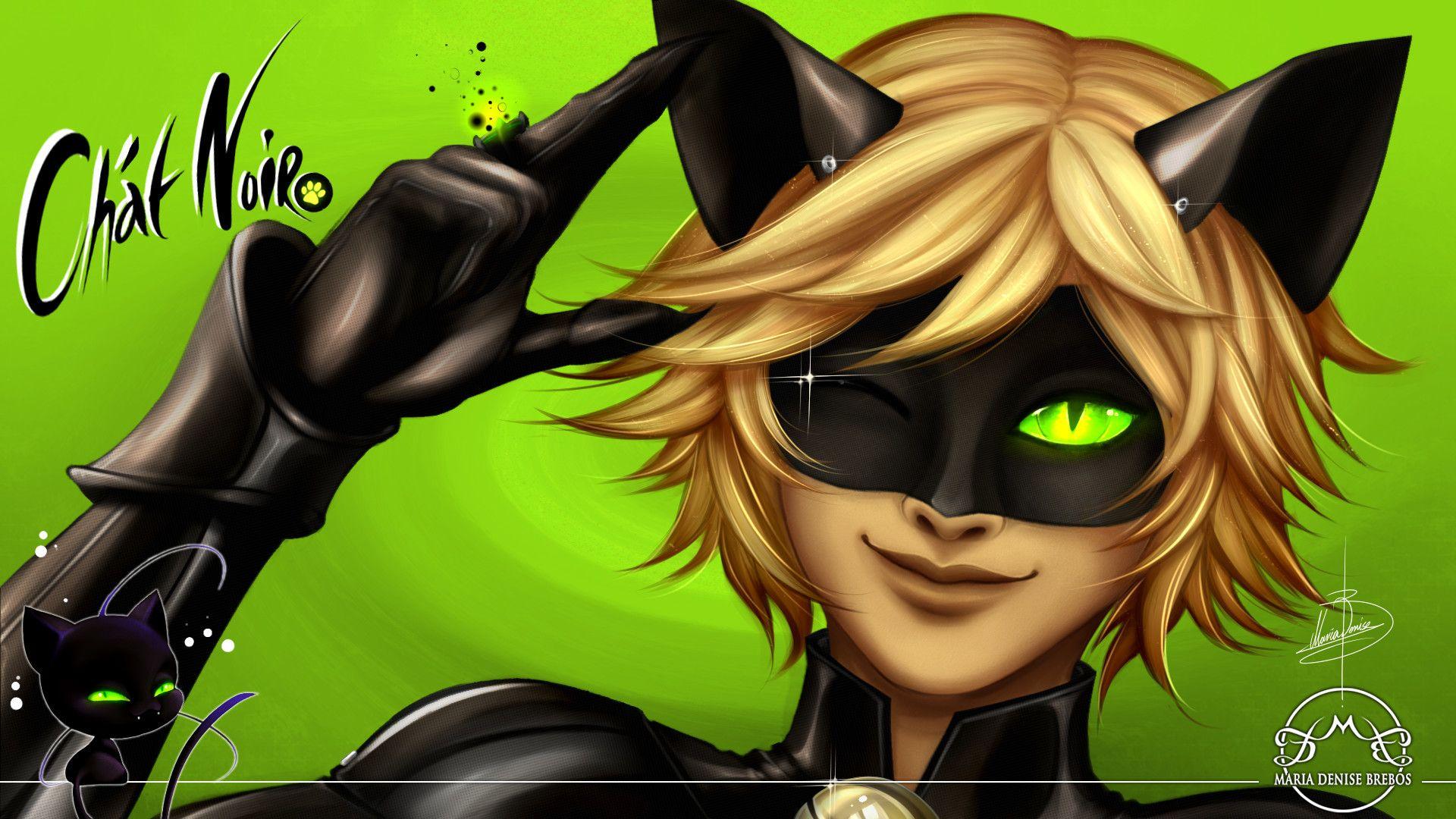 Cat Noir Wallpapers - Top Free Cat Noir Backgrounds - WallpaperAccess