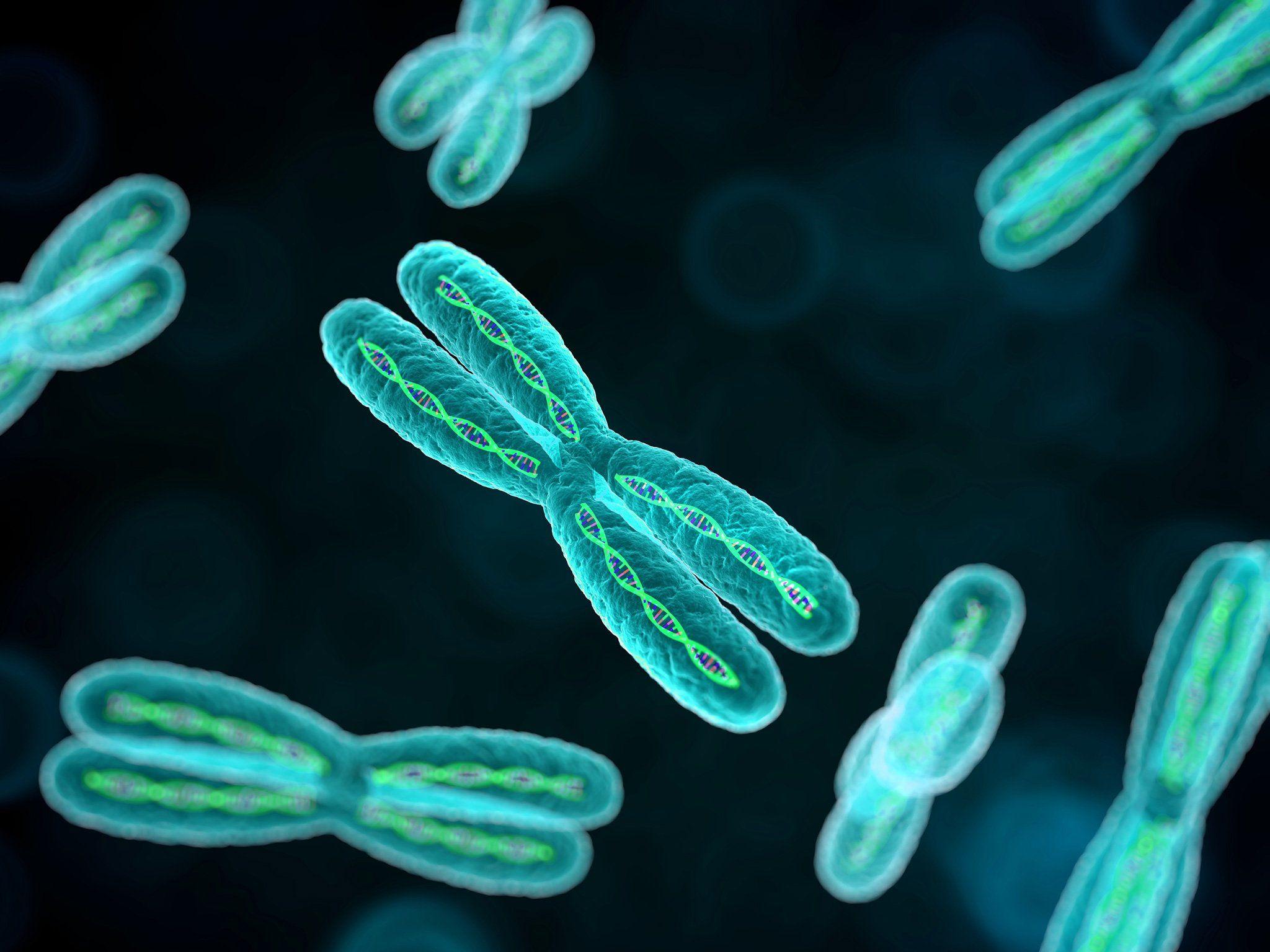 2048x1536 Genetic Wallpaper