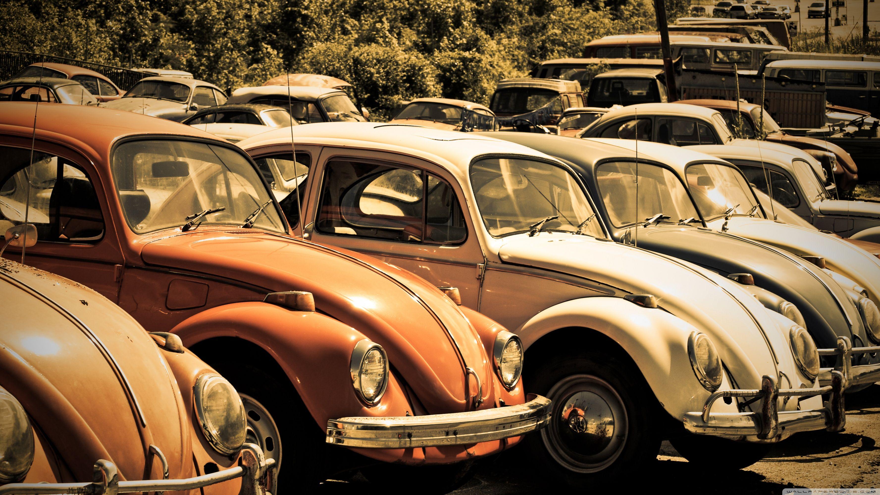 volkswagen beetle wallpaper