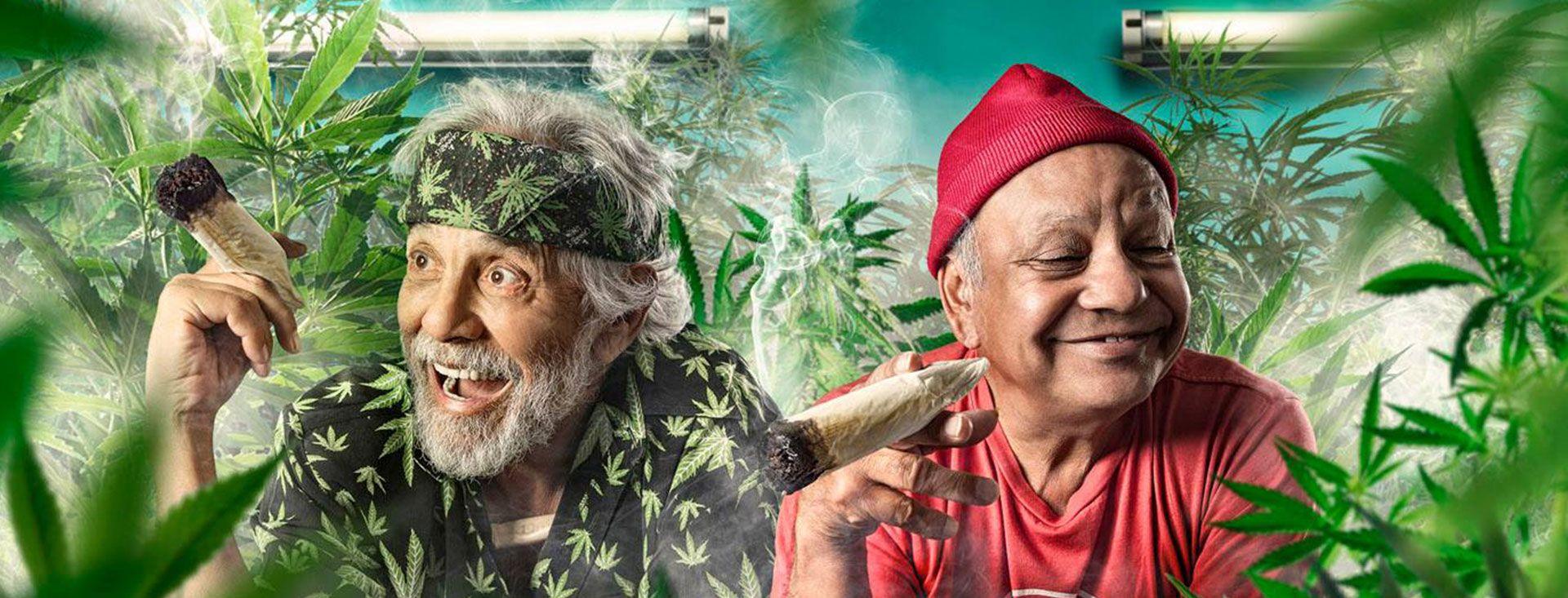 1920x733 Most viewed Cheech And Chong wallpaperK Wallpaper