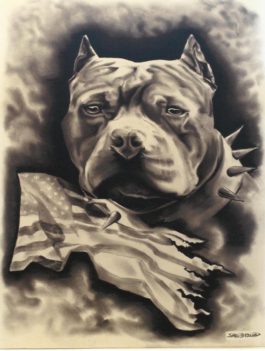 American Bully Wallpapers - Top Free American Bully Backgrounds