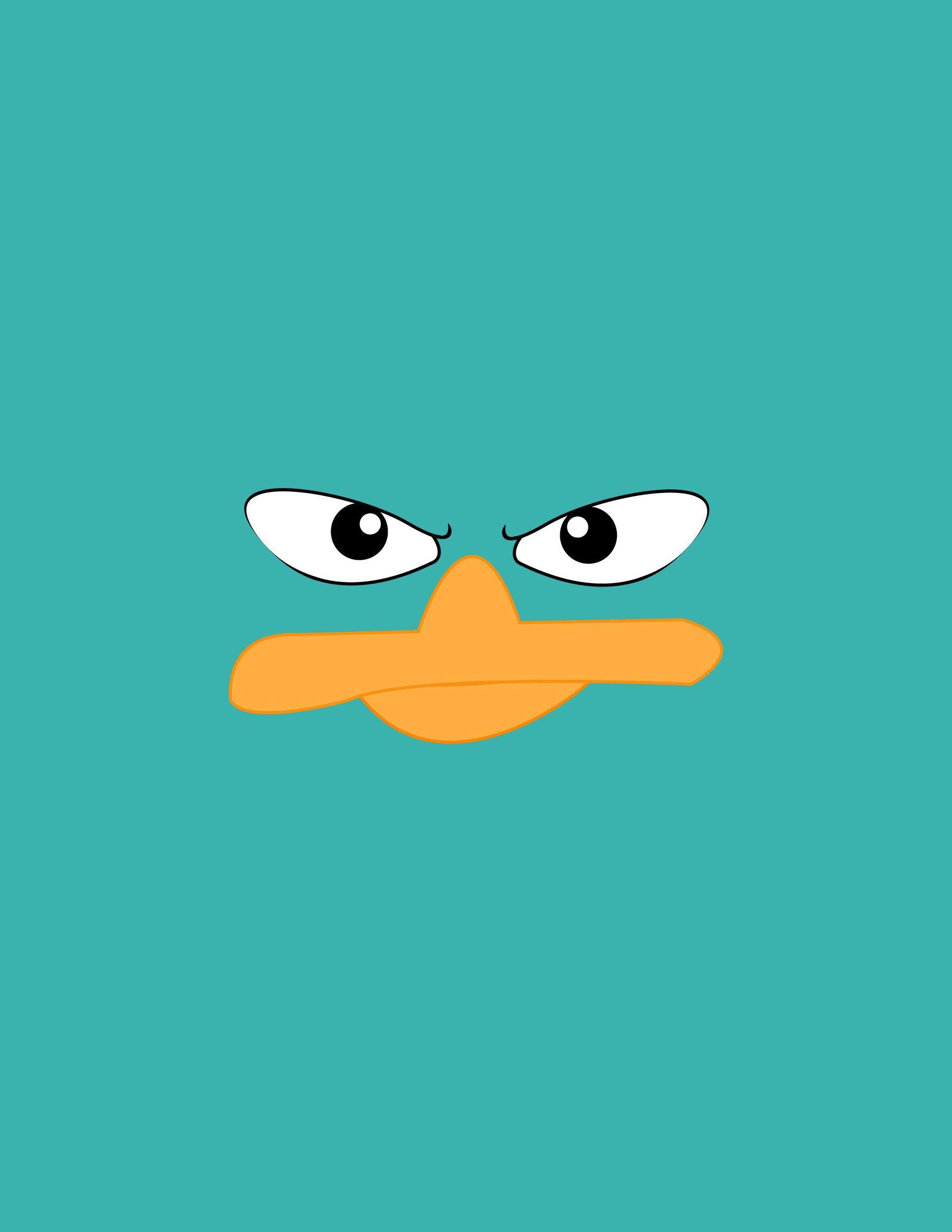 1920x2485 Perry the platypus.. Perry the platypus