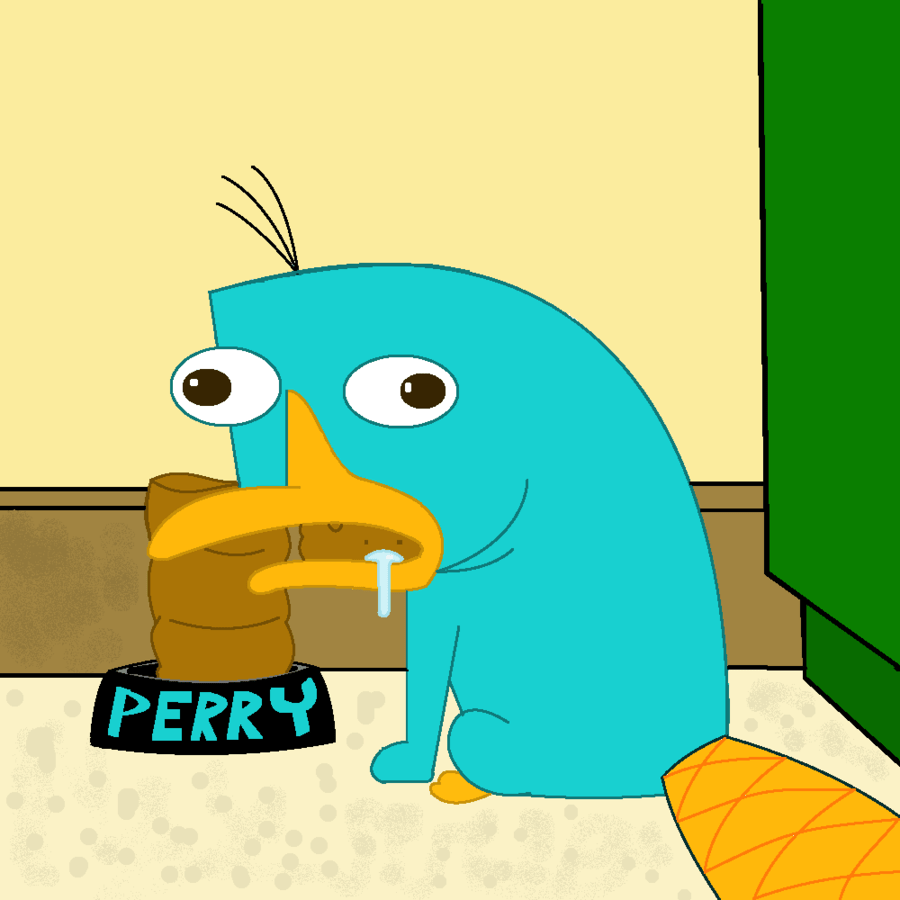900x900 Perry The Platypus Sick, HD Wallpaper & background