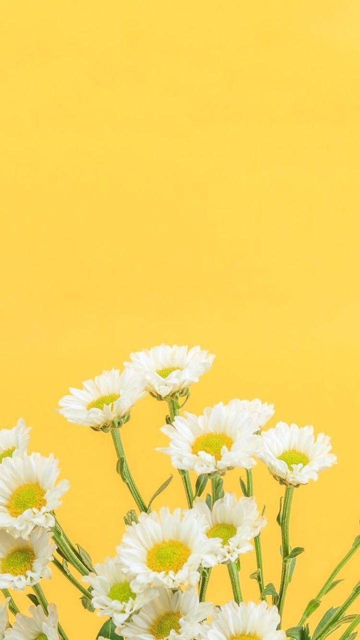 720x1280 Yellow Aesthetic Wallpaper