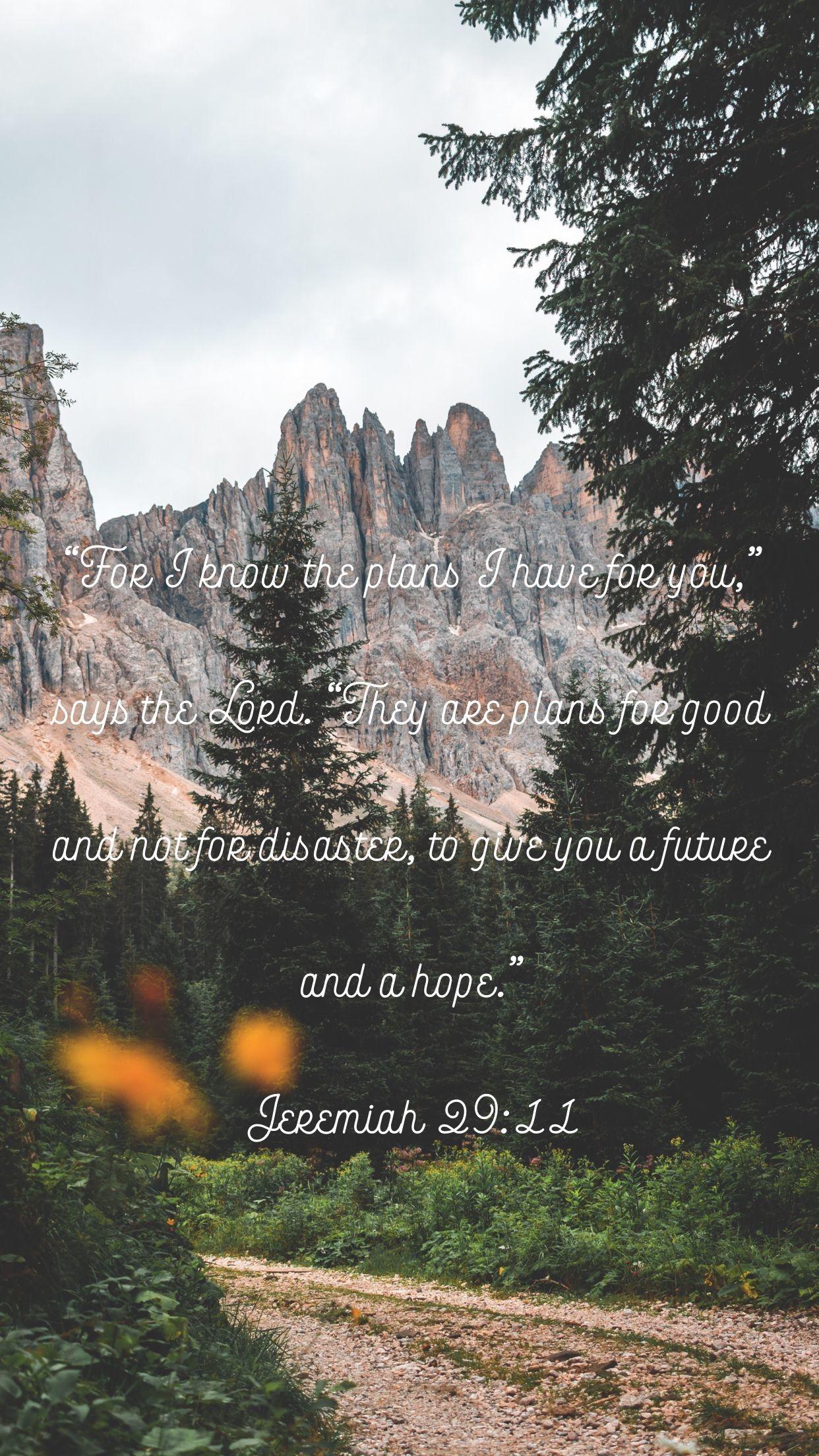 Jeremiah 29:11 Wallpapers - Top Free Jeremiah 29:11 Backgrounds ...