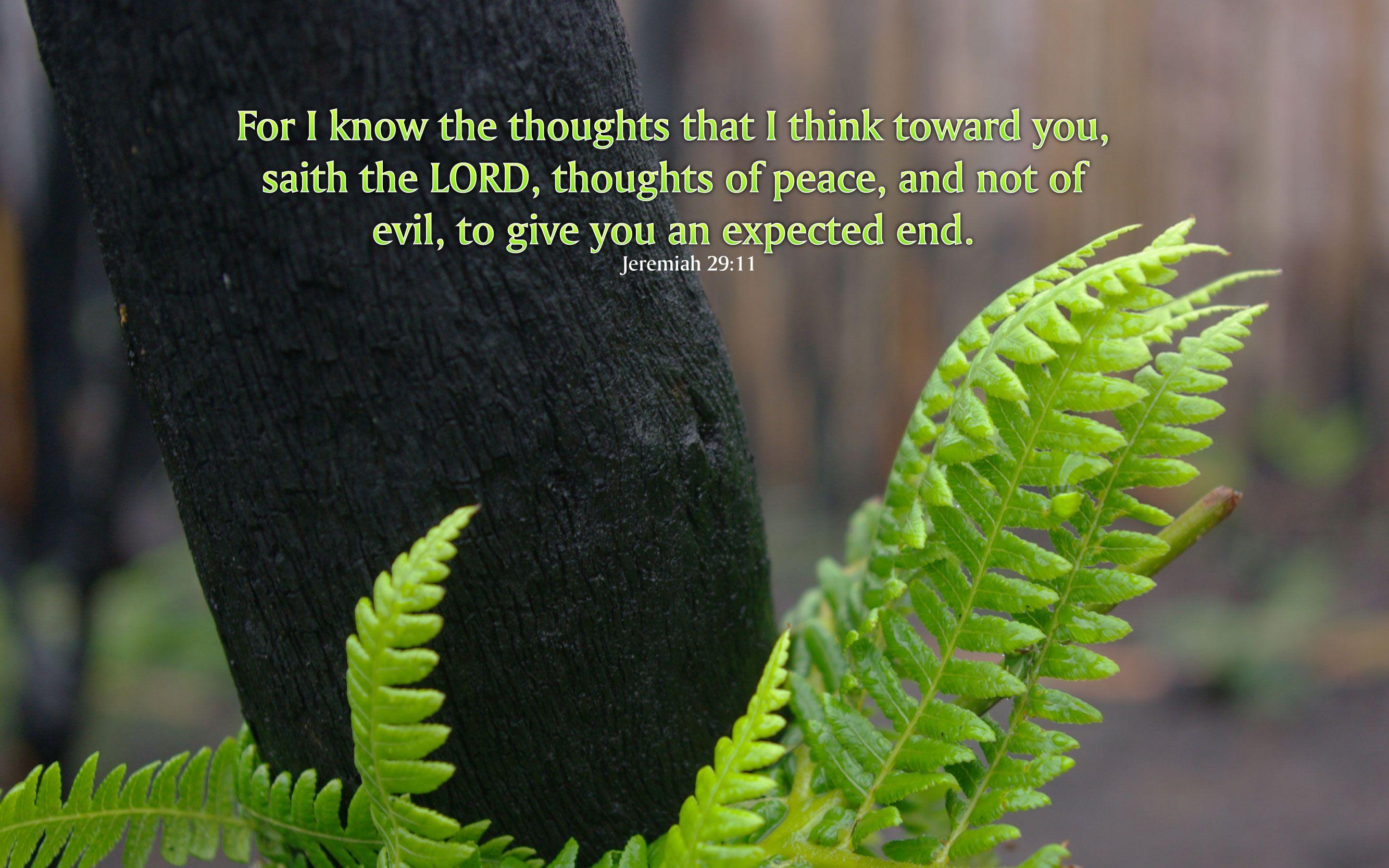 2667x1667 Jeremiah 29:11 Nature & Bible Desktop Background